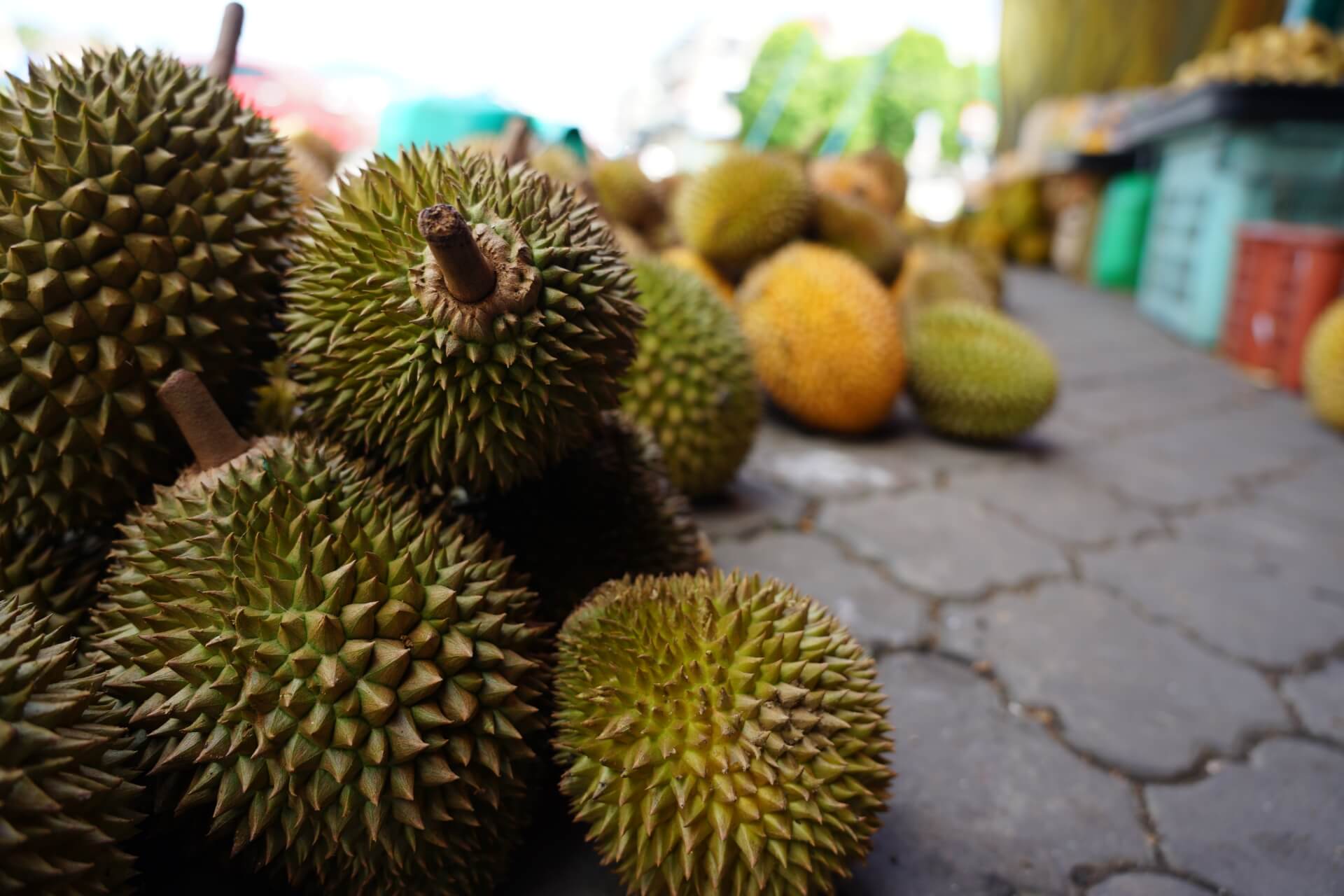 果物の王様ドリアンは栄養豊富！身体への効果や味、匂いを解説